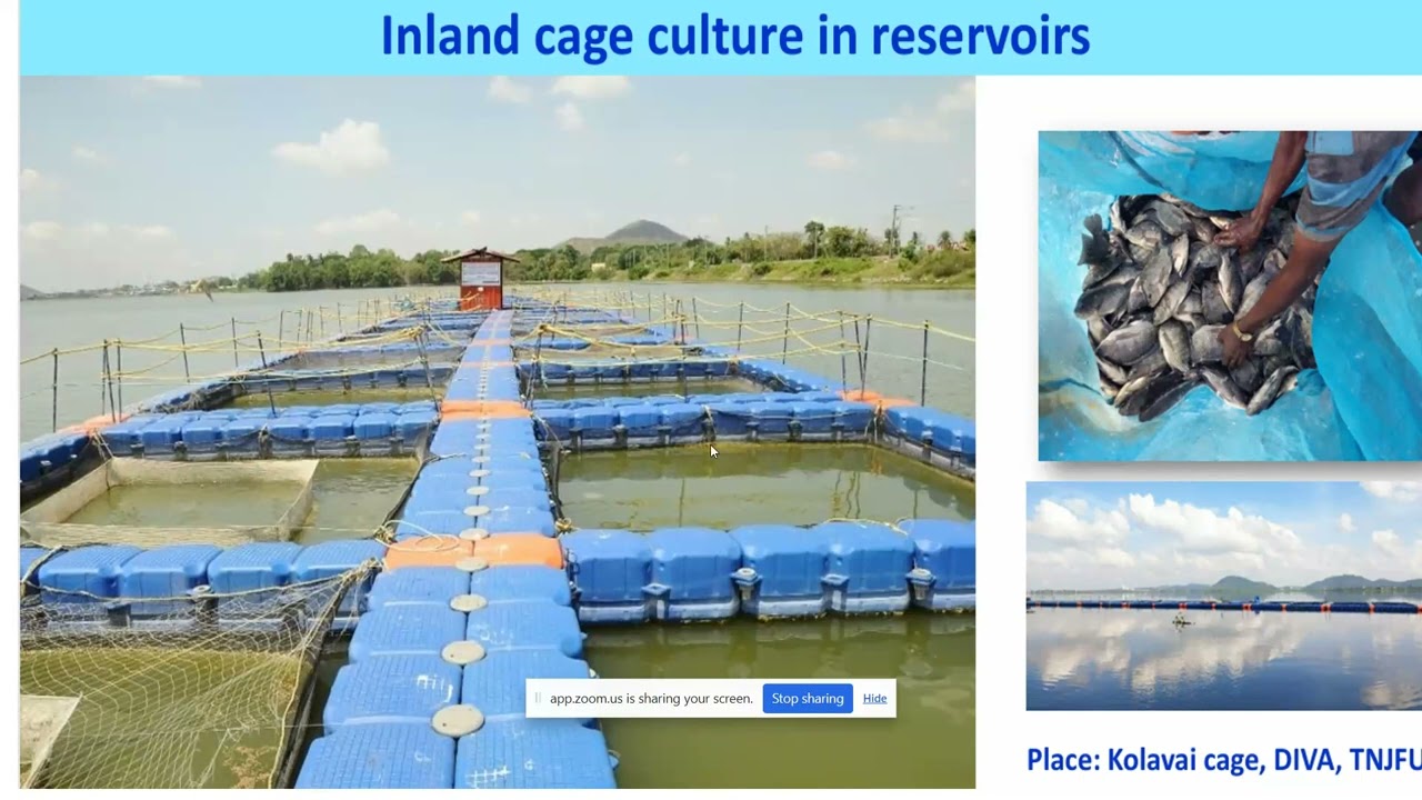 Aquaculture A Livelihood Option for Coastal Communities