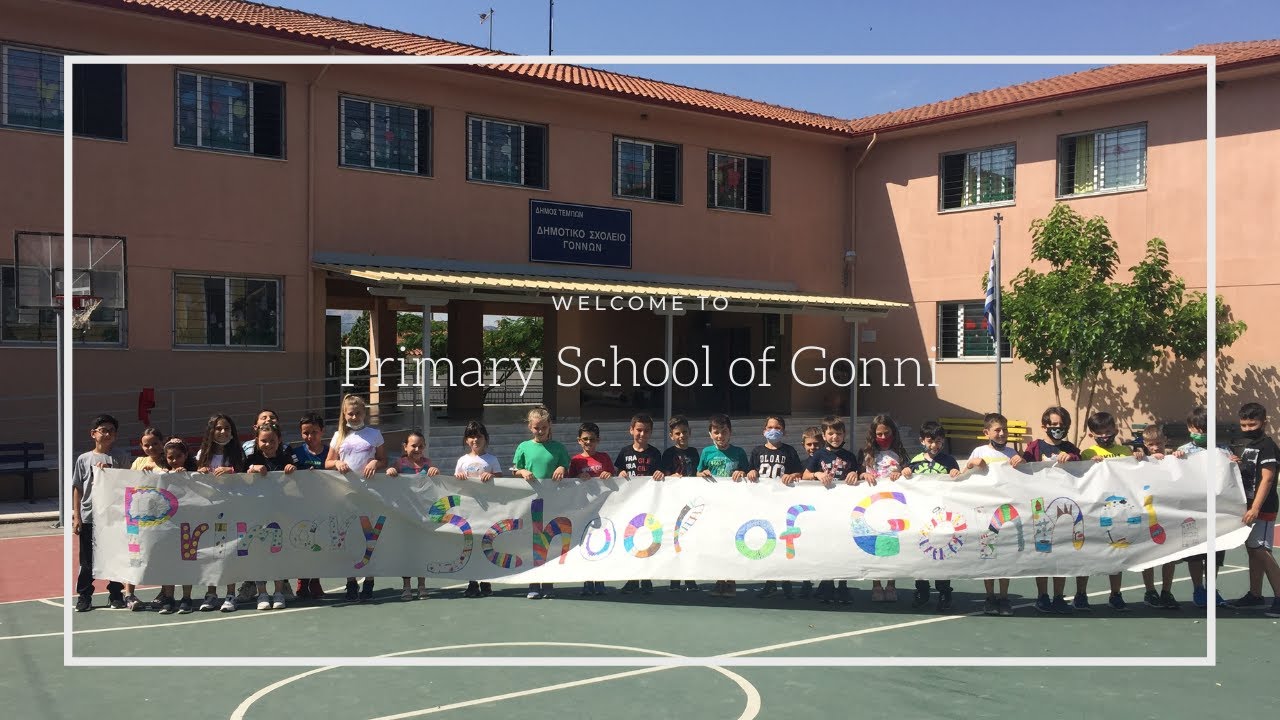 Primary School of Gonni - Video