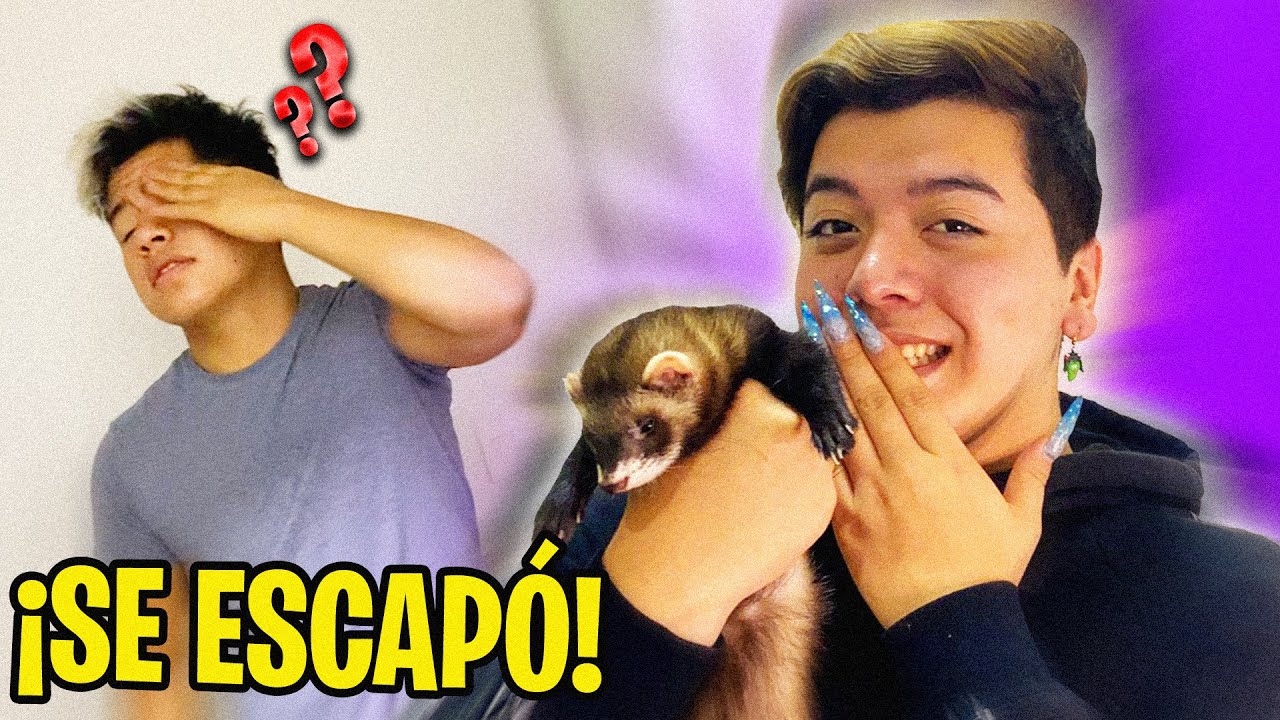 PERDI LA MASCOTA DE MI HERMANO BROMA PESADA *casi llora*