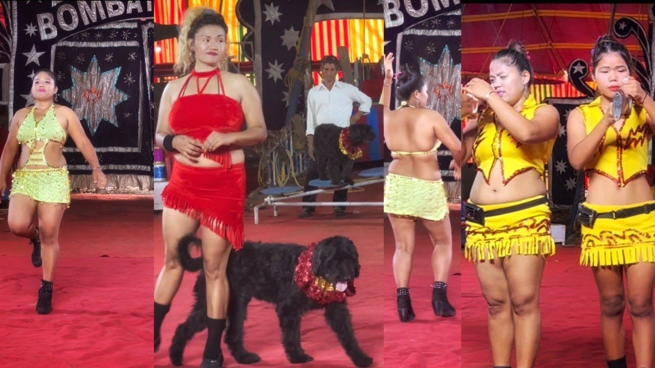 Behind the Scenes of Circus