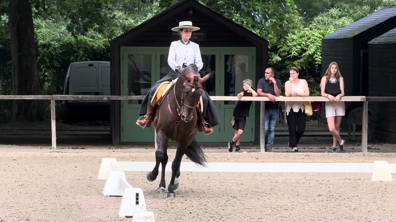 Nicole e Hábil - Dressage Test 75% - WE