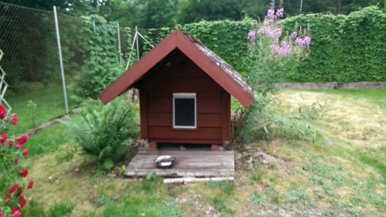 Участок моей свекрови в Швеции. Как живут шведы на пенсии |  SIMPLE LIFE IN SWEDEN for retired