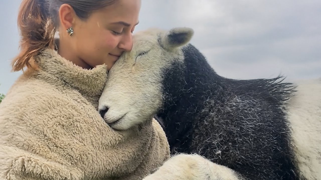 Some Say Animals Don’t Have Feelings… Watch This! ❤️