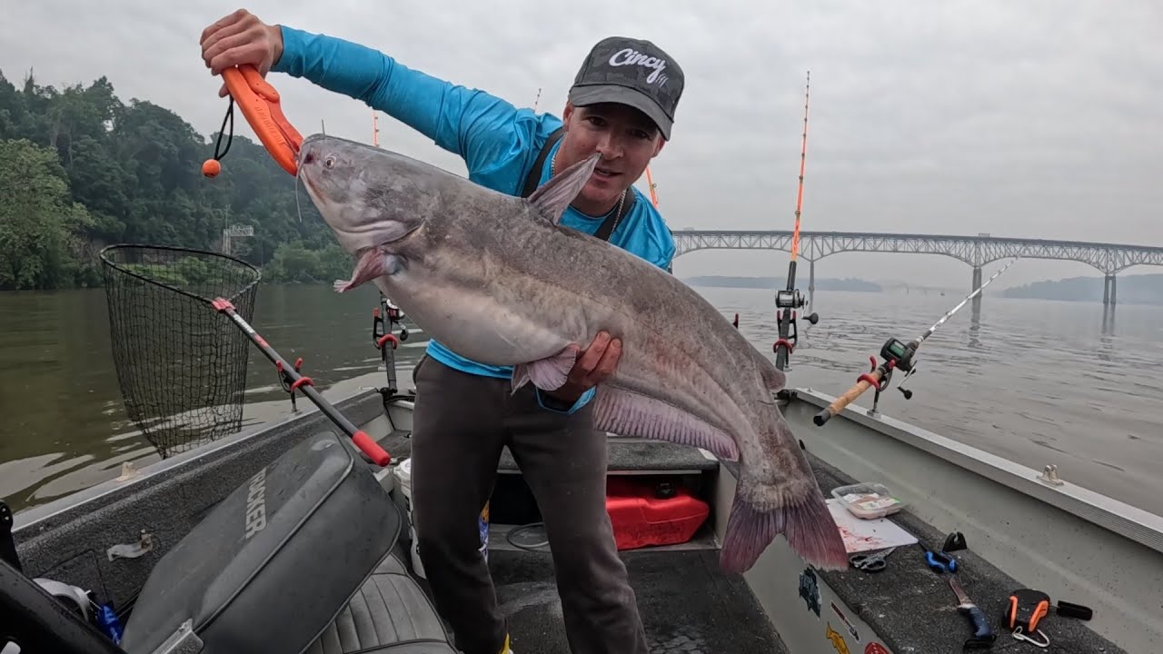 A New Way to Use Cut Bait for Big Catfish (Effective!)
