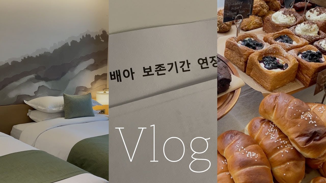 [브이로그] 계류유산 후 일상, 건강 챙기기 :: 드는 deneun Vlog42