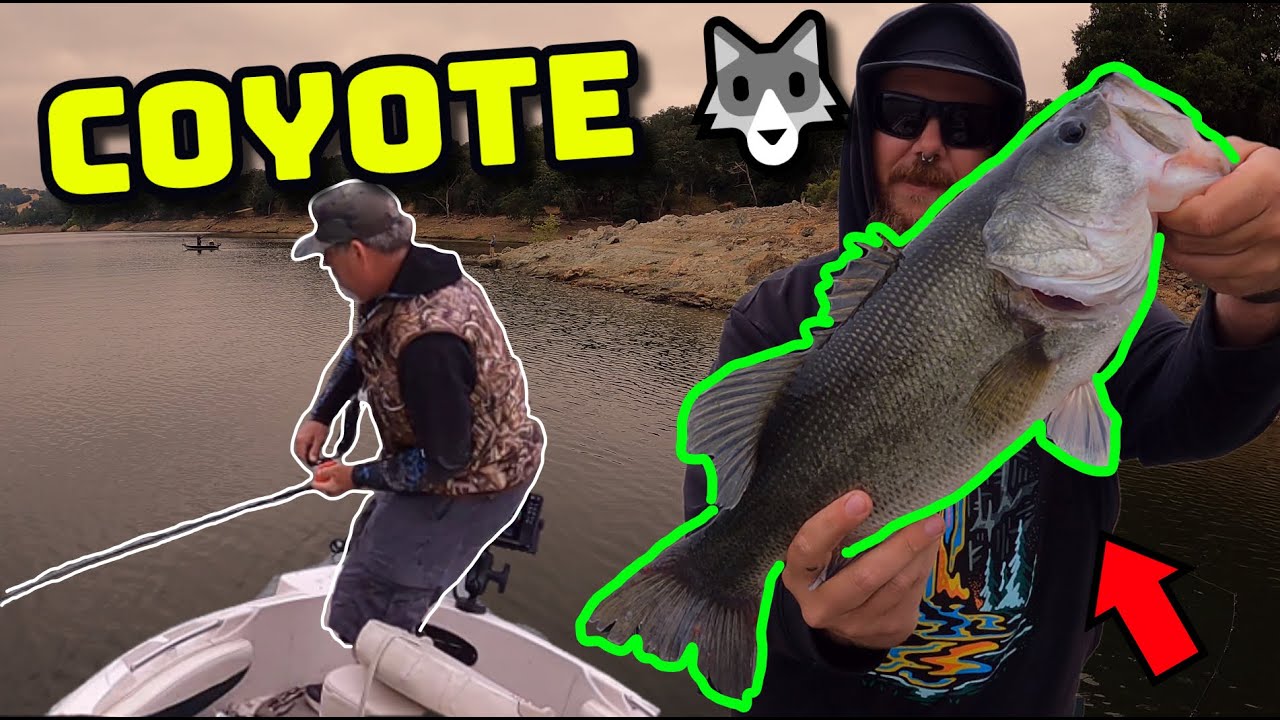 RETURN to COYOTE LAKE on a BOAT! (Bass Fishing San Jose)