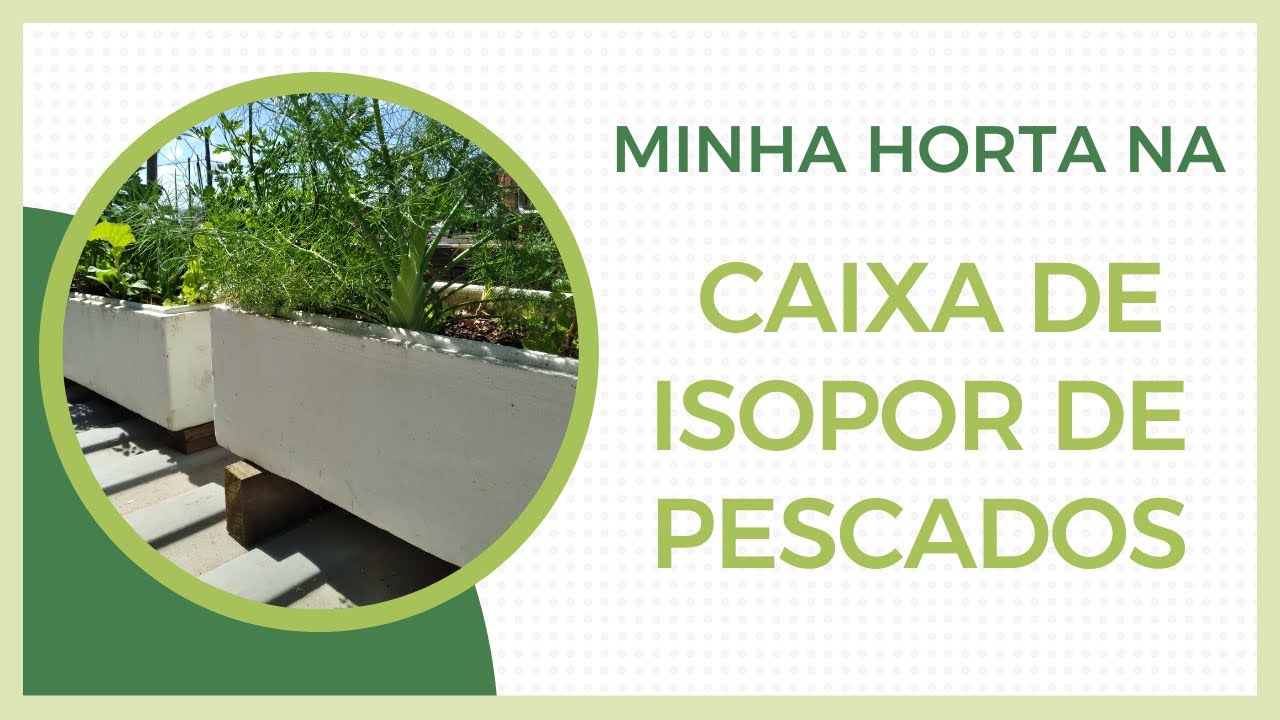 Minha horta nas caixas de isopor / Como fazer uma horta rápida na caixa de isopor.