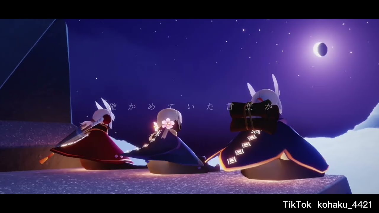 Sky TikTok・Twitter動画 まとめ