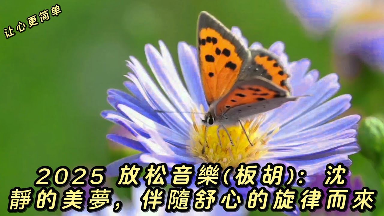 2025 放松音樂(板胡)：沈靜的美夢，伴隨舒心的旋律而來