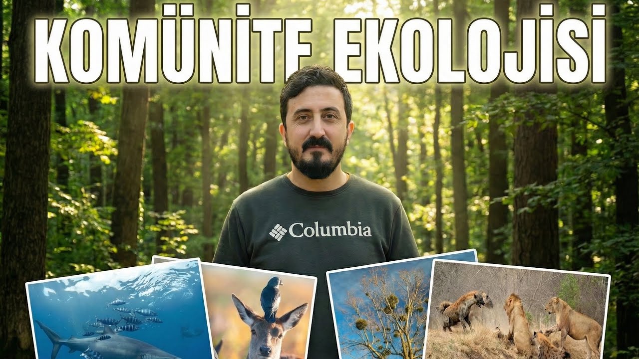 10.Sınıf Biyoloji '' KOMÜNİTE EKOLOJİSİ '' ( Maarif Model ) #maarifmodeli #biyoloji #10.sınıf 