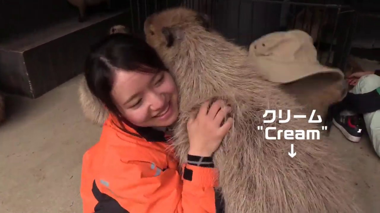 カピバラといっしょにストーブ Warm you up with capybara