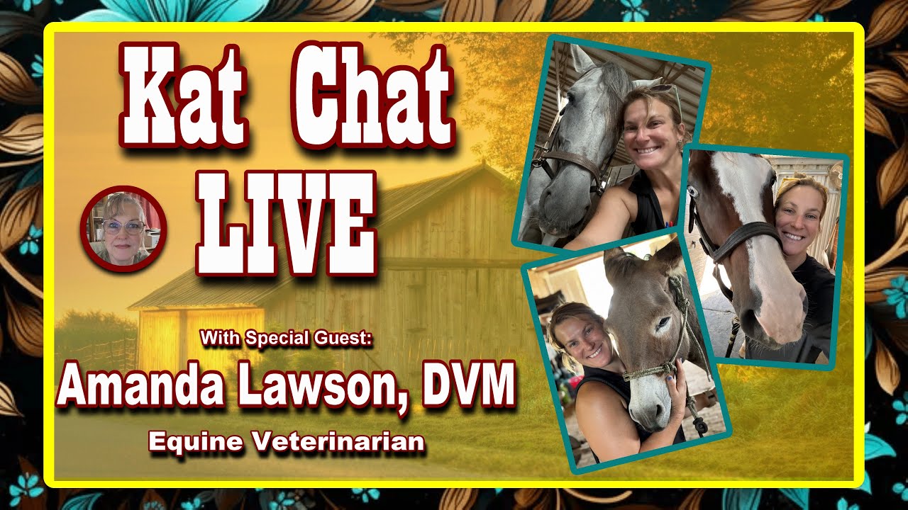 Amanda Lawson, DVM - Caring for Equines with Heart #equinevet #horsehealth