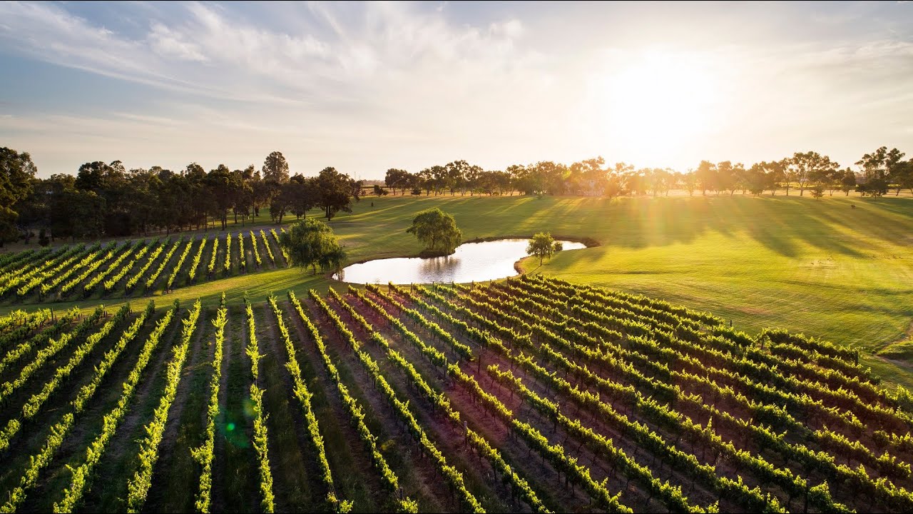Sandalford Wines - Our Story