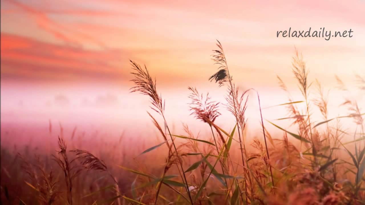 Background Music Instrumentals relaxdaily B Sides N&deg;1