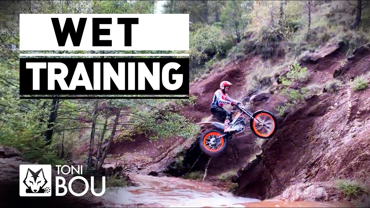Wet Training &middot; Toni BOU