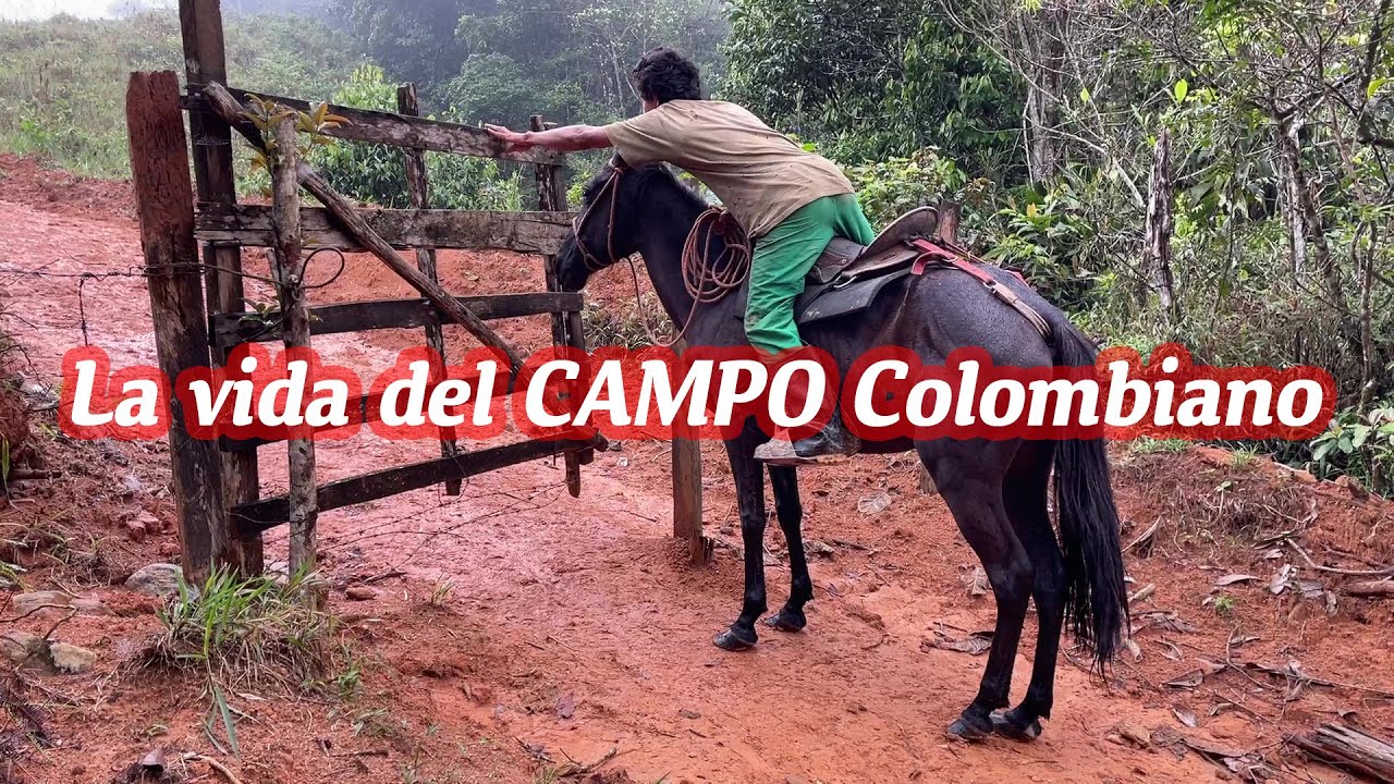 3 Días viviendo la experiencia del CAMPO COLOMBIANO