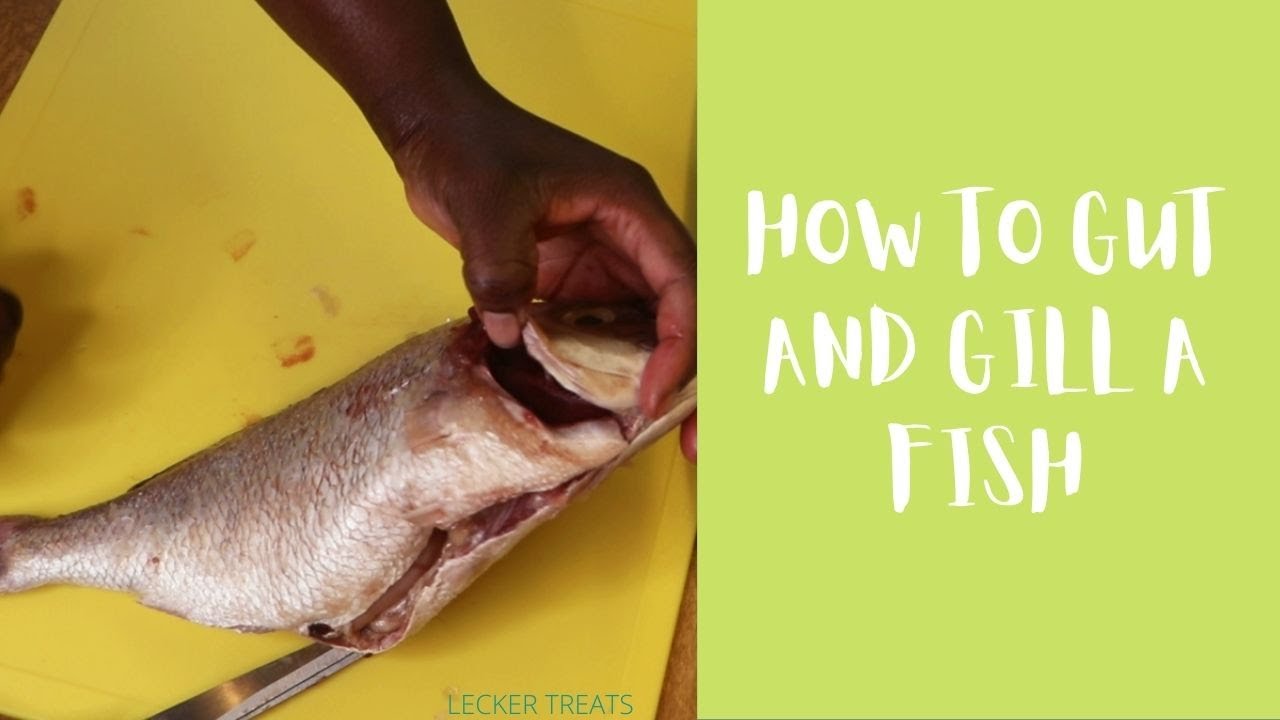 How To Gut And Gill A Fish | Red Snapper Fish | Kitchen Tips & Hacks @LeckerTreats