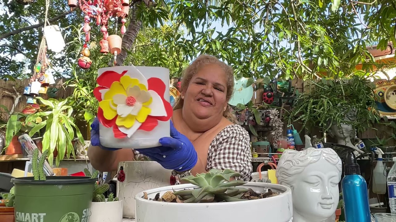 Un Cresimientos Una Nueva Casita 🏠 