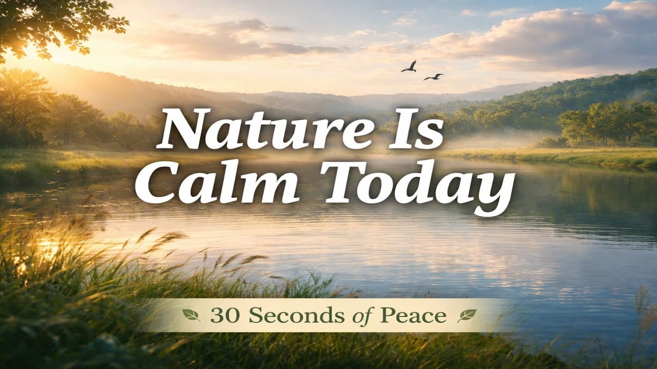 Nature Is Calm Today 🌿 | 30 Seconds of Pure Peace & Morning Serenity l Relaxing, Calming Music