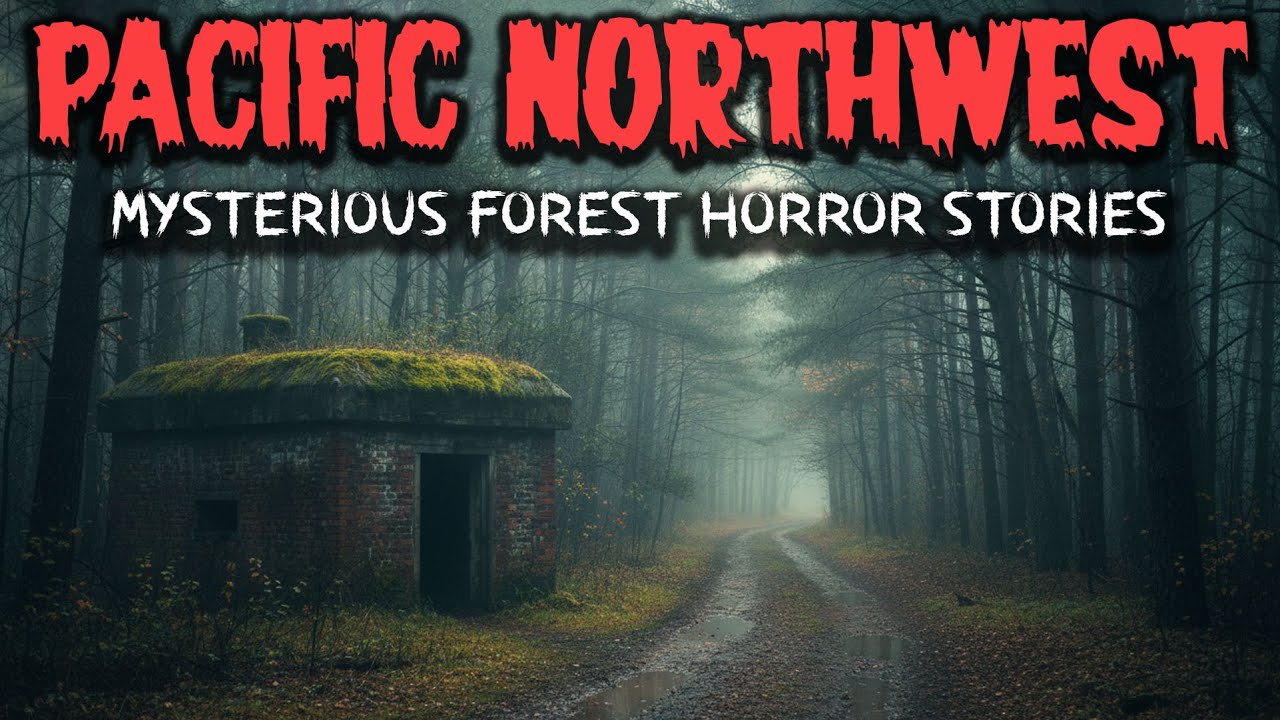3 Most Disturbing TRUE Pacific Northwest Mysterious Forest Horror Stories