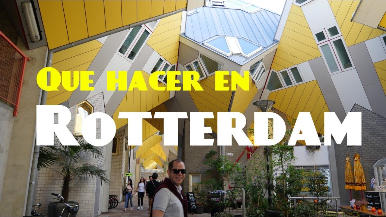 Qu&eacute; Hacer en Rotterdam | Lecciones de viaje