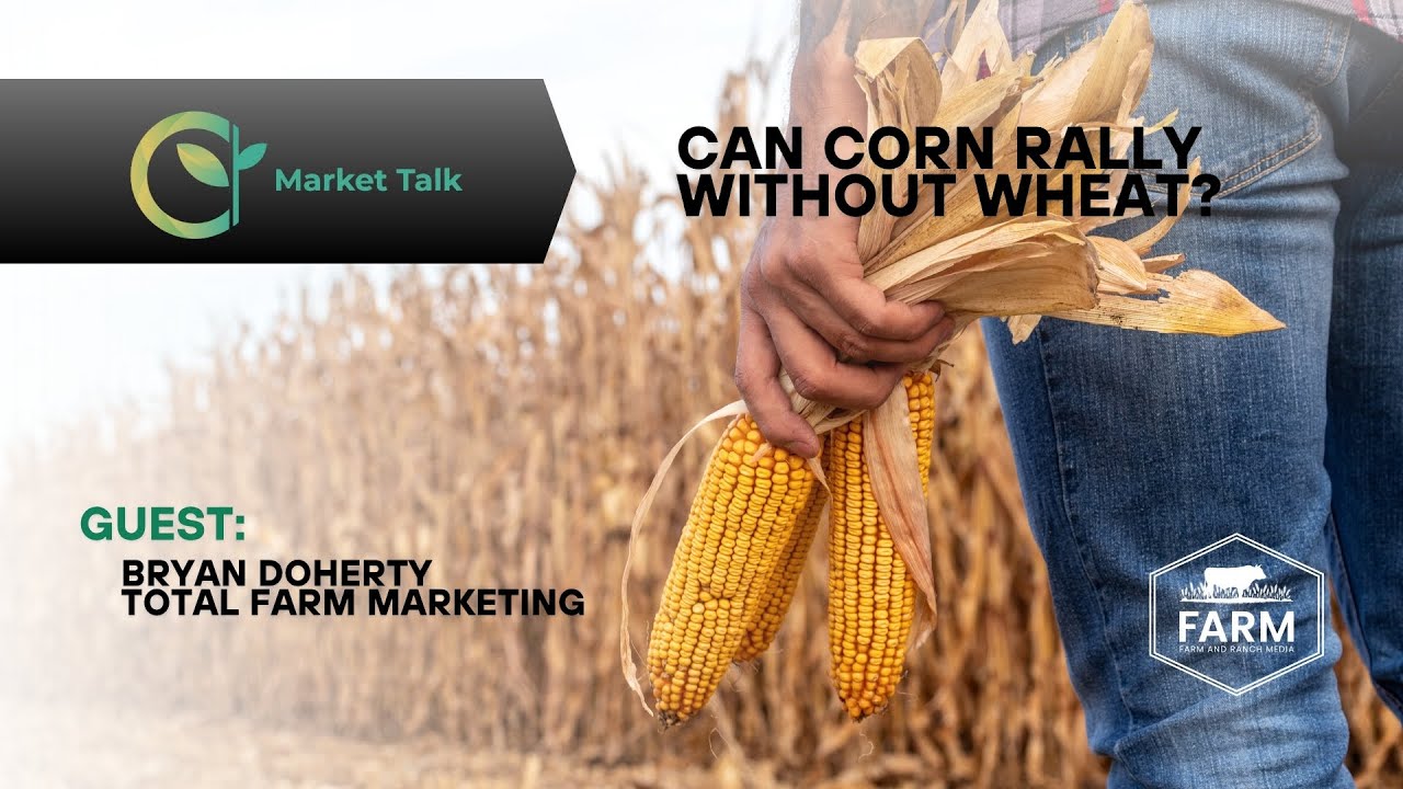 Can Corn Rally Without Wheat?