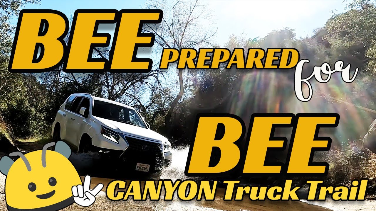 Bee Prepared for Bee Canyon Truck Trail! (Can you do it?) | Lexus GX 460 / Landcruiser Prado 150