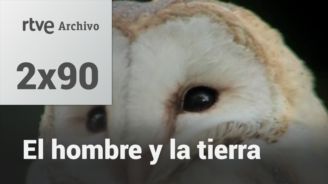El hombre y la tierra: Capítulo 106 - Rapaces nocturnas I | RTVE Archivo