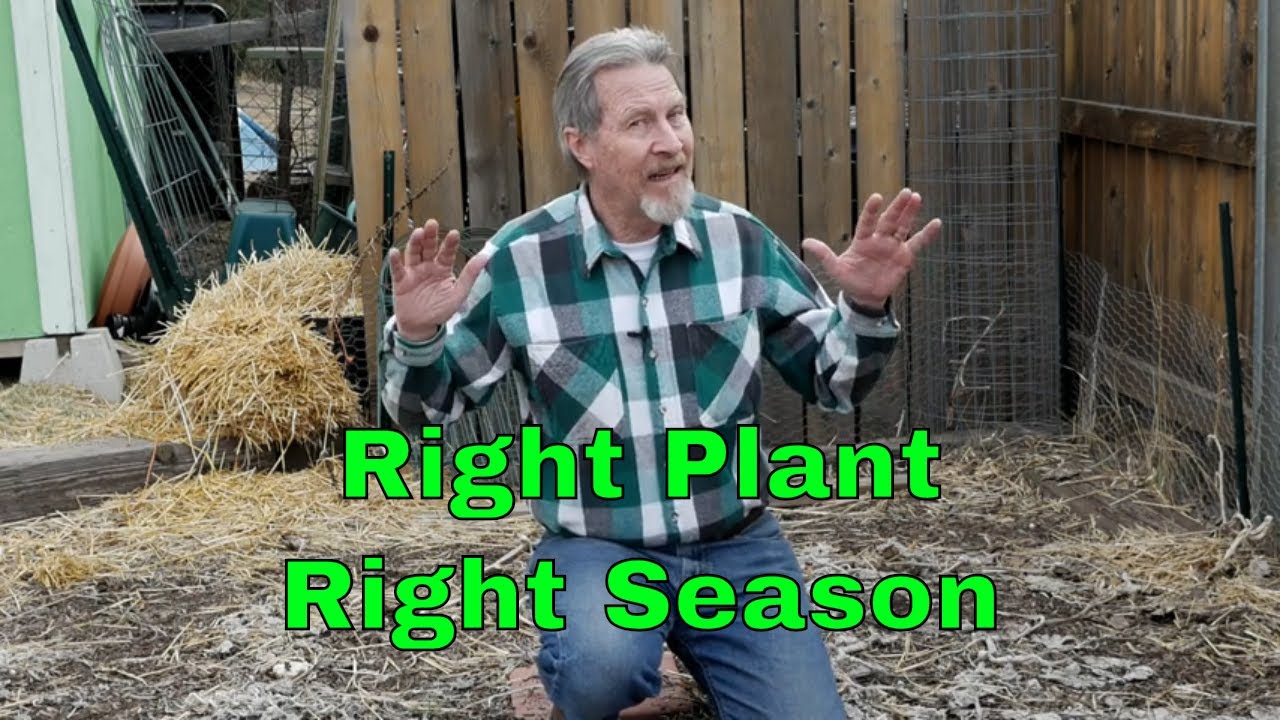 Understanding Cool Season & Warm Season Plants