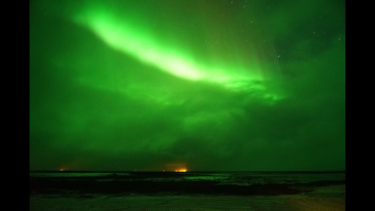real time northern lights , shooting stars and a polar bear
