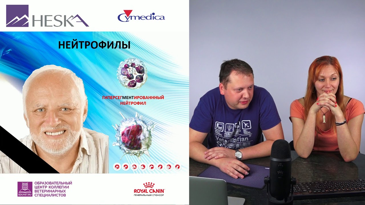 Глебова О. А., Солдатов А. А. - Лейкоцитарная формула с точки зрения лаборанта и терапевта