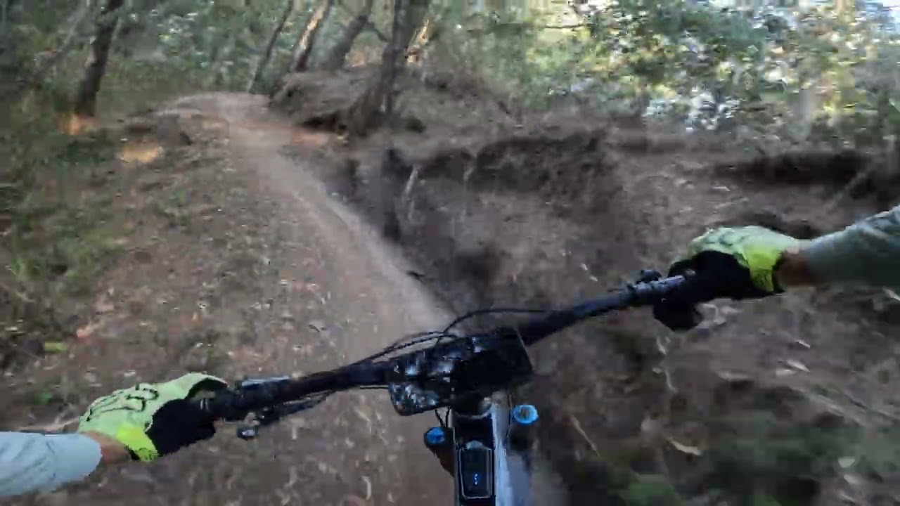 Markham Park MTB trails 2/23