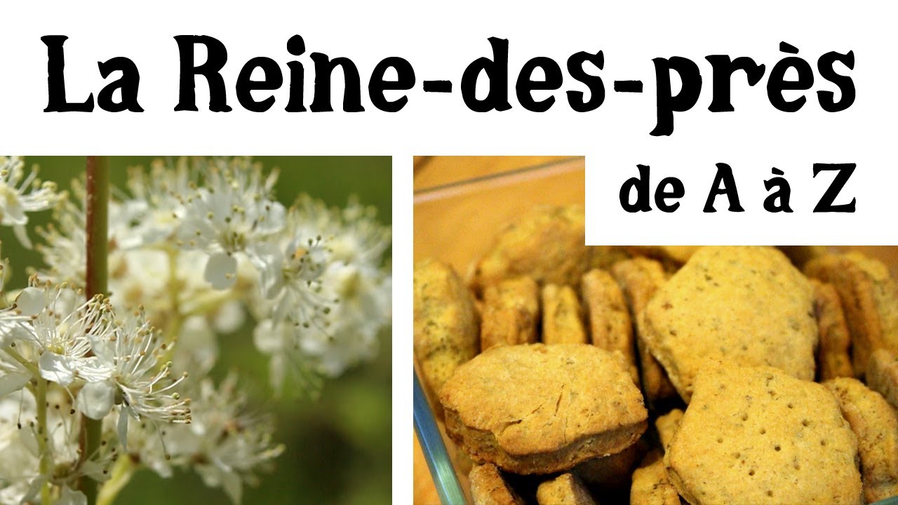La Reine des Prés de (presque) A à Z