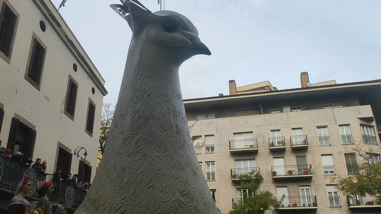 La MARXA del Colomí de Sant Andreu del Palomar.