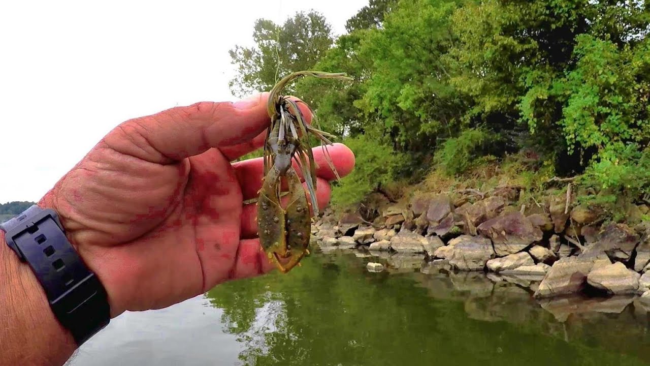 A DEADLY Jig and Setup For Catching Catfish