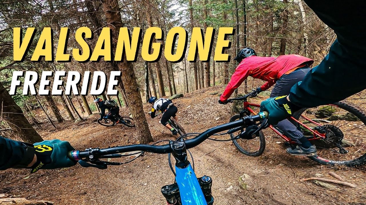 PURO FREERIDE IN VALSANGONE CON I LORDWHEEL 🍂🔥🔥 - MTB ENDURO
