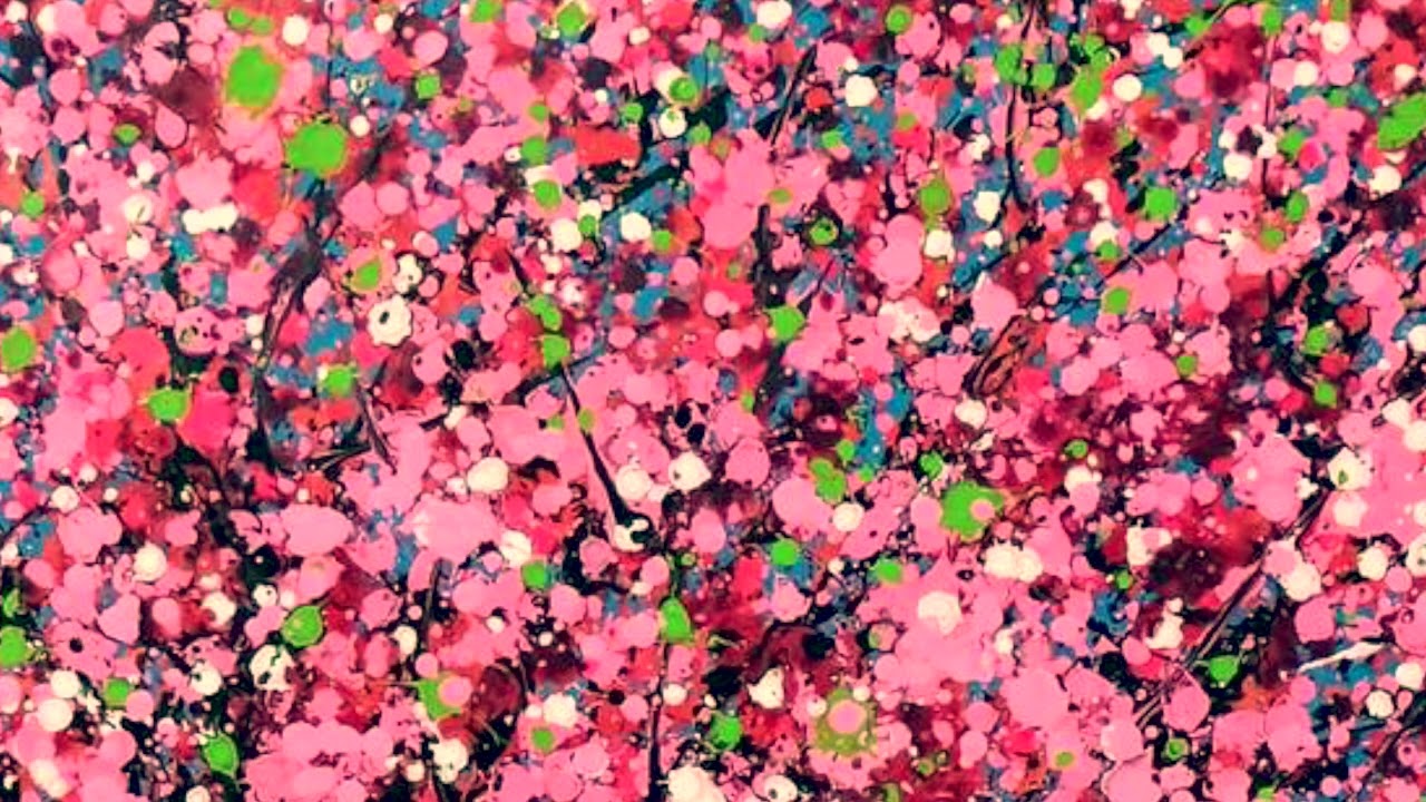 cherry blossom | 2026