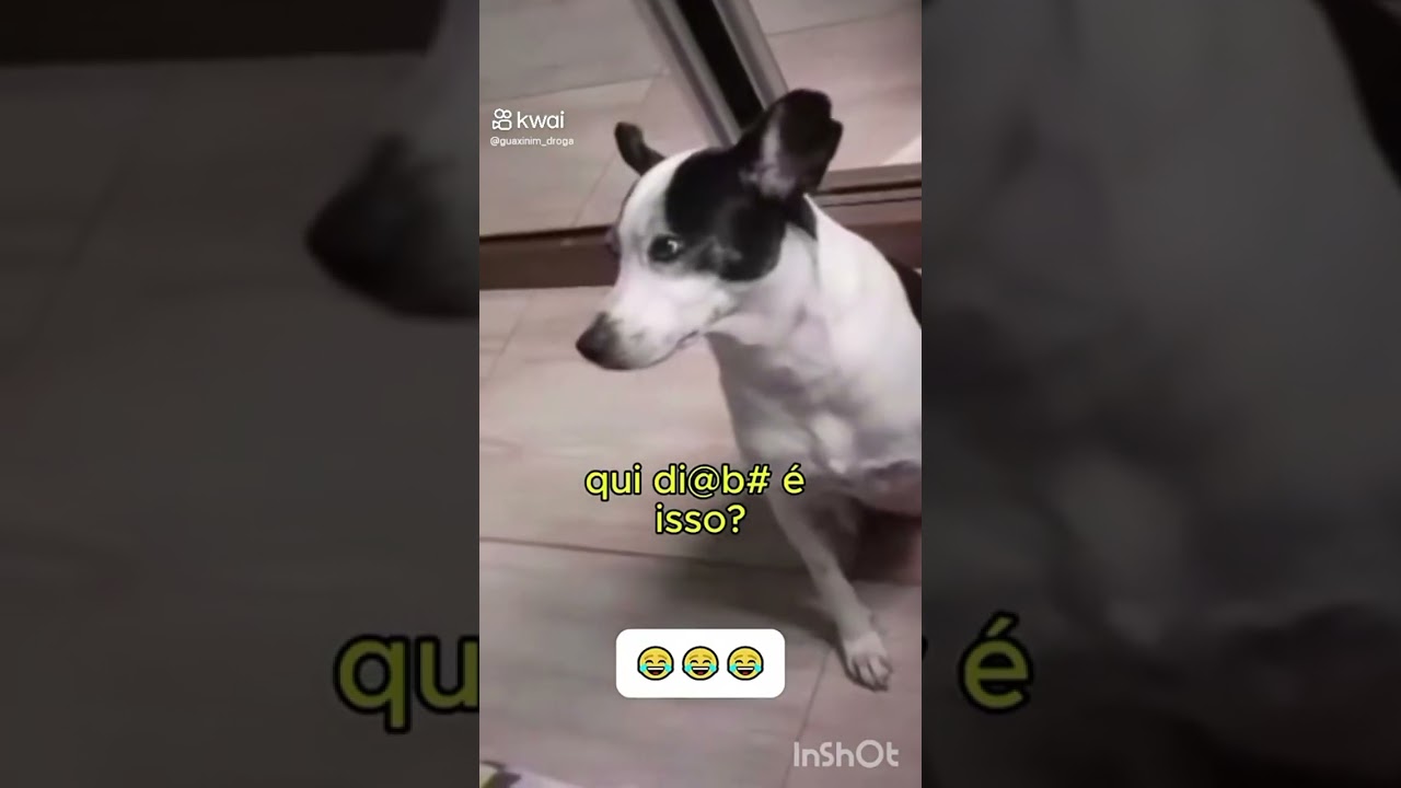 13 de janeiro de 2026