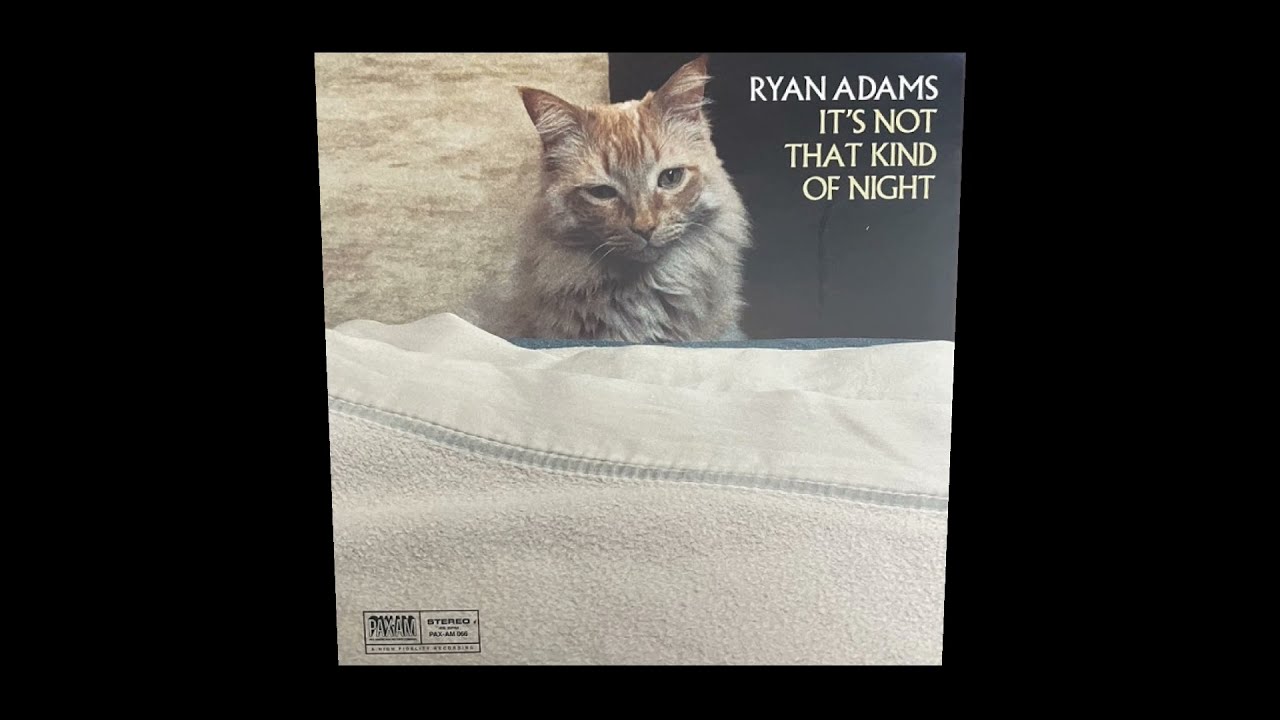 Ryan Adams - It's Not That Kind Of Night from Wednesdays Bonus 7