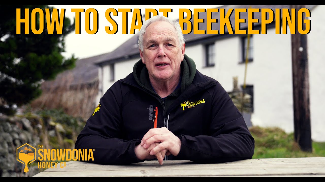 How to start Beekeeping