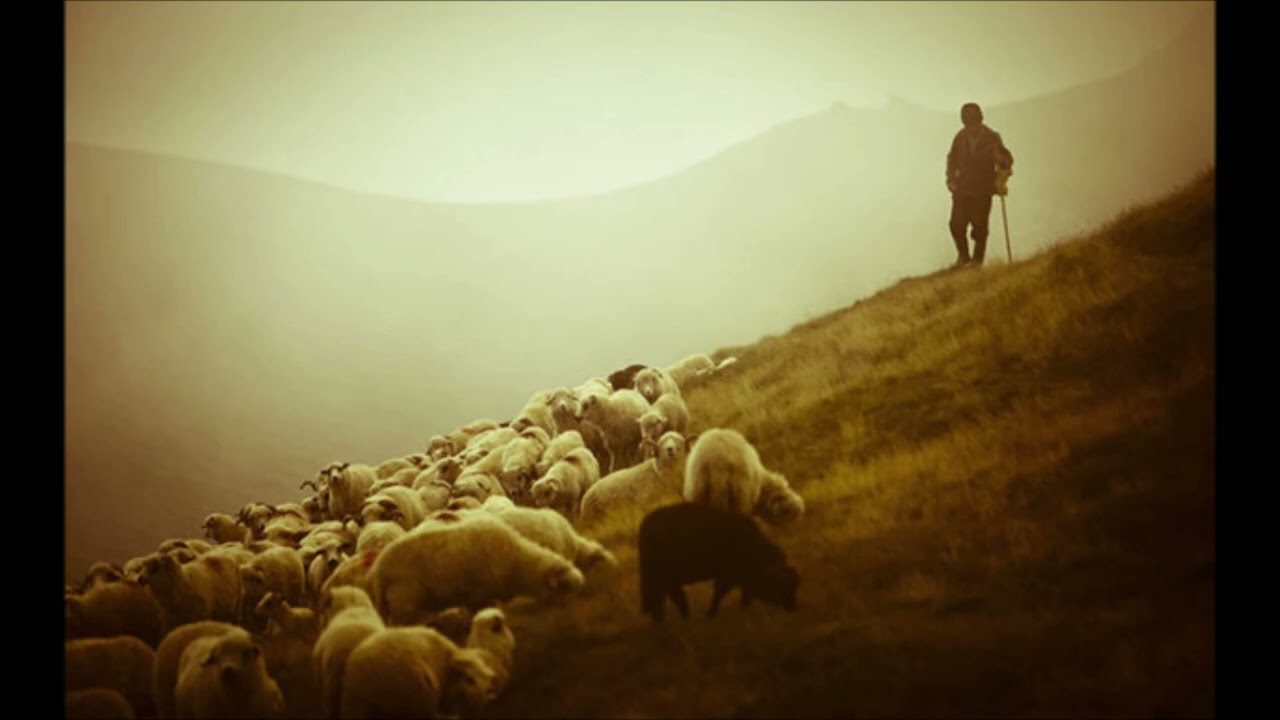 Pasterz czy pastuch