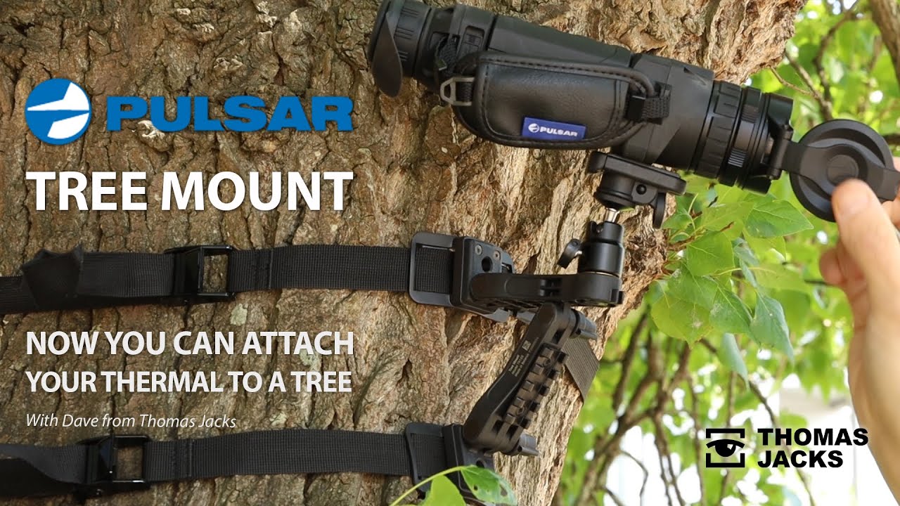 The Pulsar Tree Mount