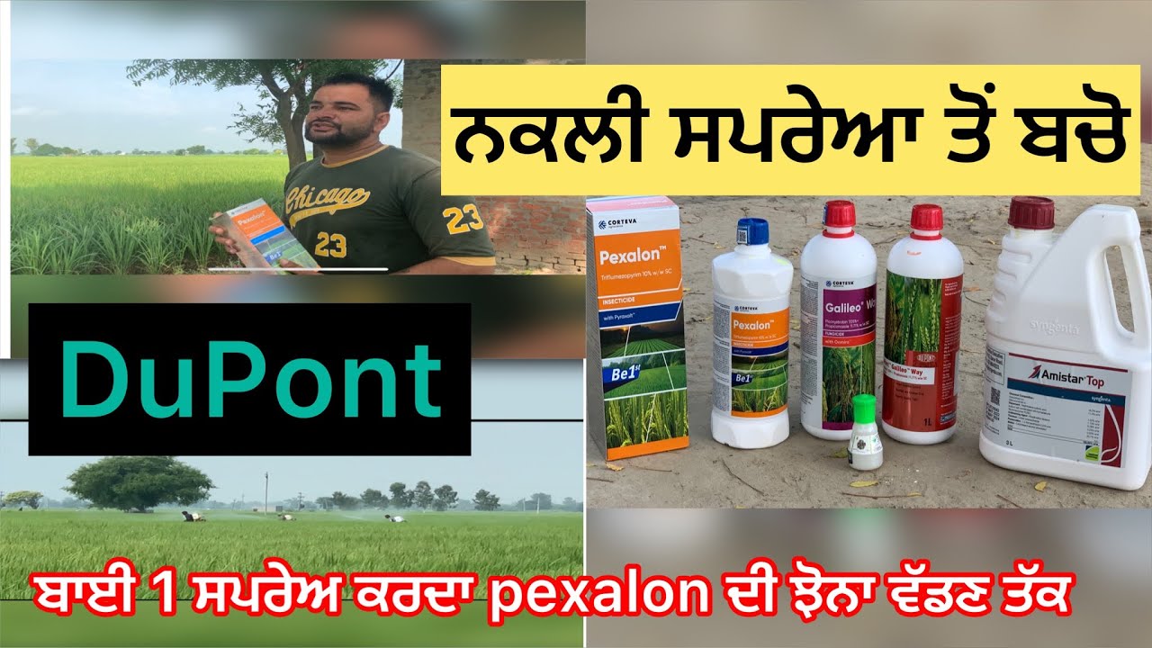 ਇੱਕ ਸਪਰੇਅ ਨਾਲ ਹੀ ਤੇਲੇ ਦਾ ਅੰਤ DuPont coragen,pexalon,galileo way