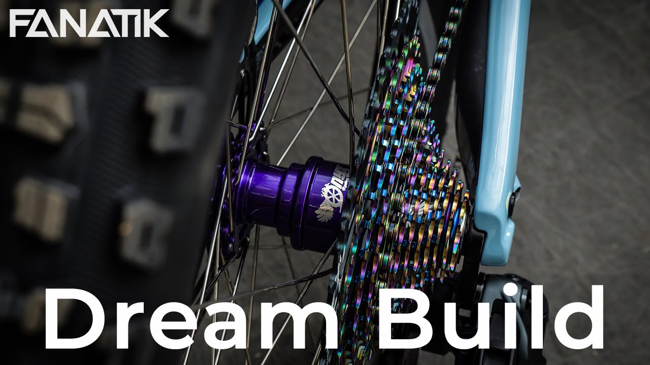 Dream Build - Ibis Ripley