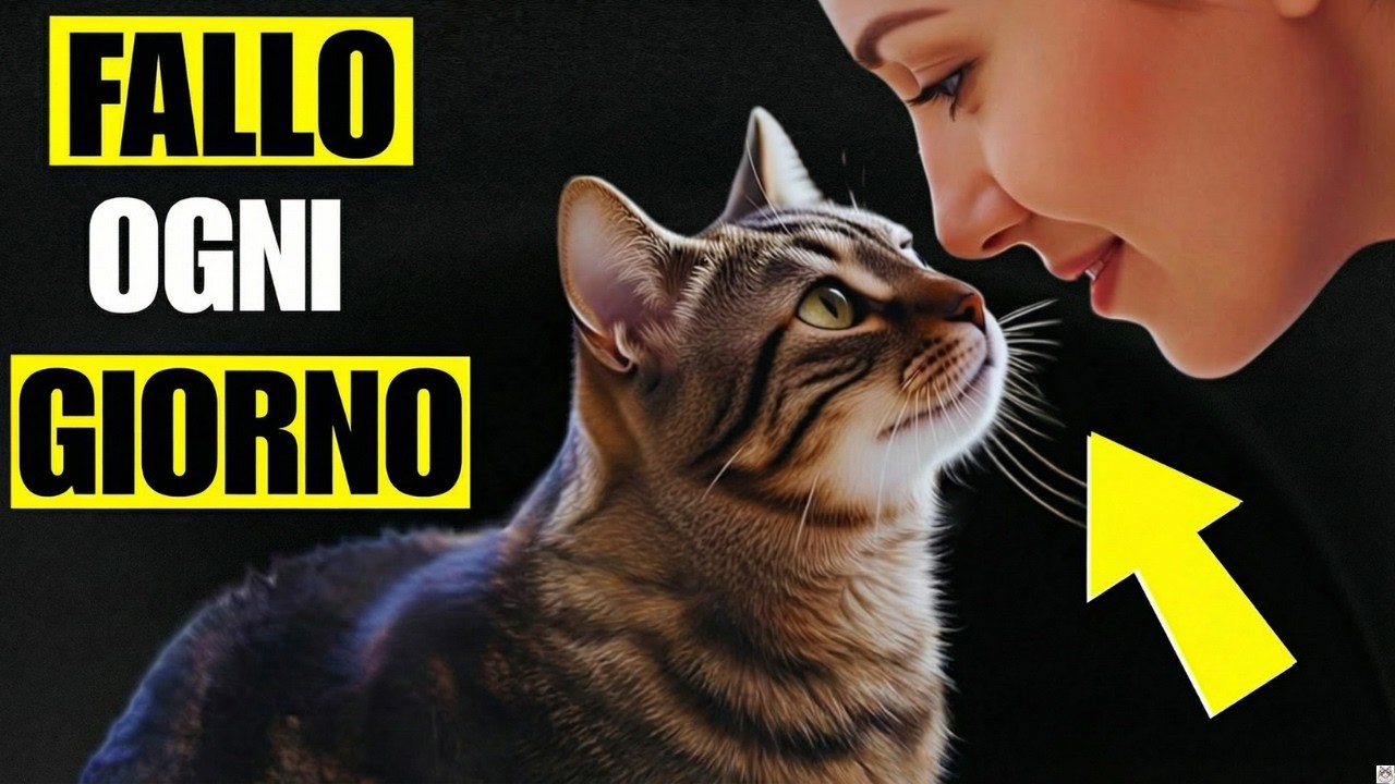 I 5 Modi per Dire “Ti Amo” al Tuo Gatto (Nel Suo Linguaggio)