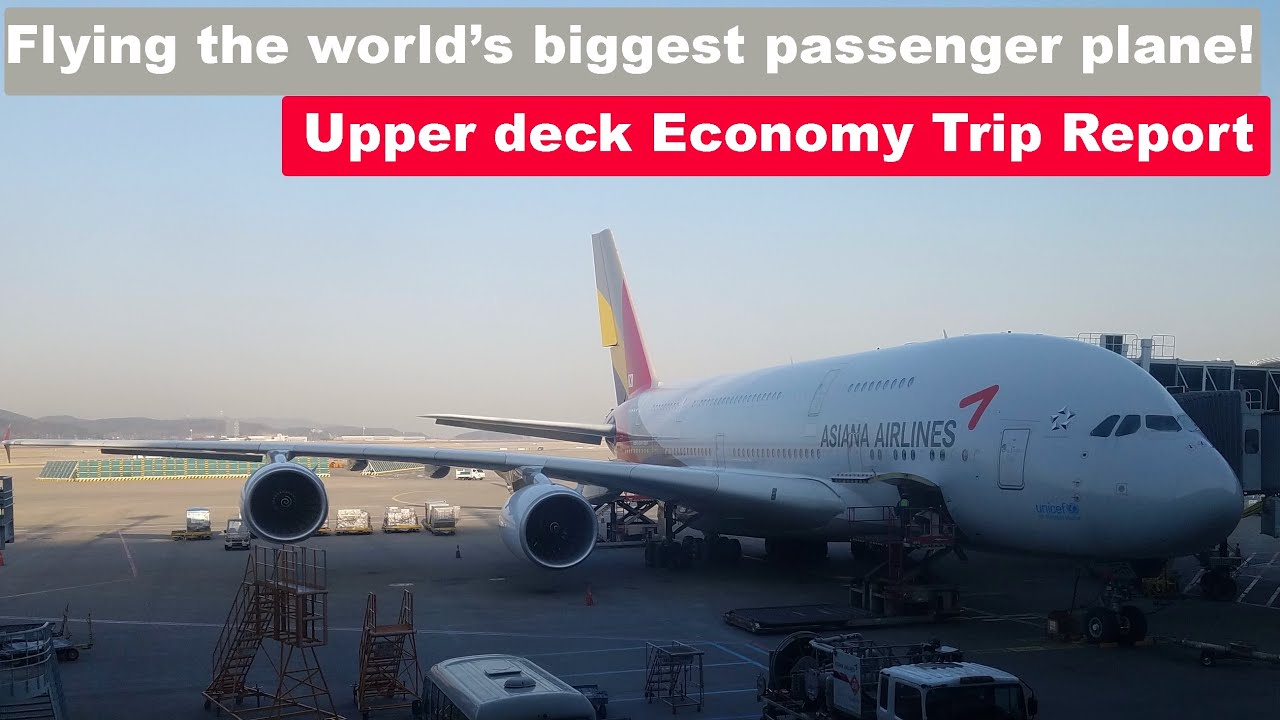 TRIP REPORT | Asiana Airlines | Airbus A380 | Los Angeles to Seoul Incheon | Upper Deck Economy