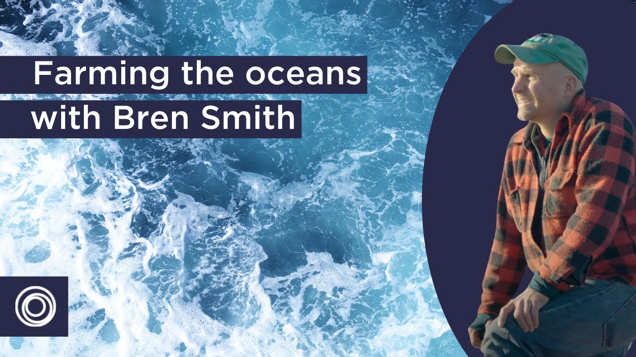 3D Ocean Farming | Transforming tradition