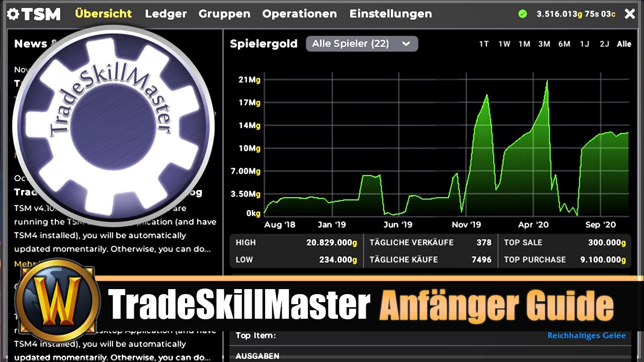 TradeSkillMaster Anfänger Guide