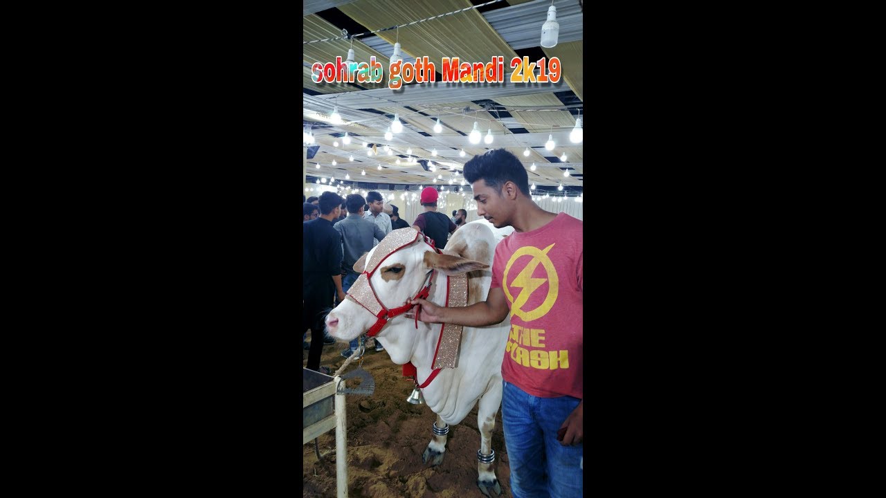 Sohrab goth mandi 2019 karachi