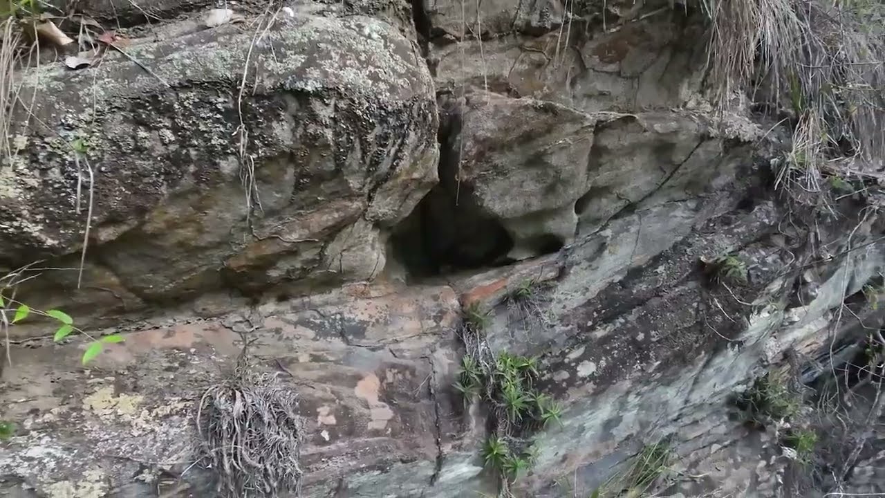 DRONE EXPLORA lugar nunca VISITADO por NINGUEM